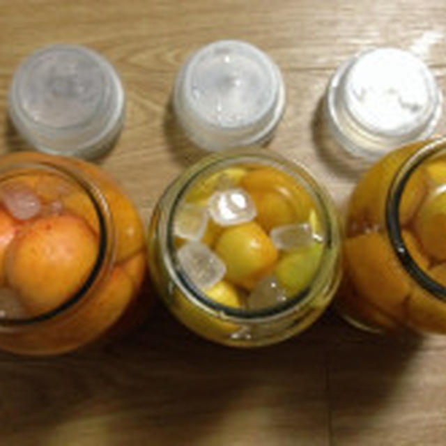 酸っぱい季節になりました