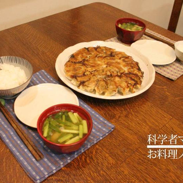 高菜餃子作りました！