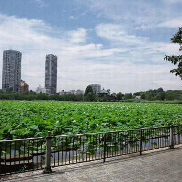 今日も暑いから。