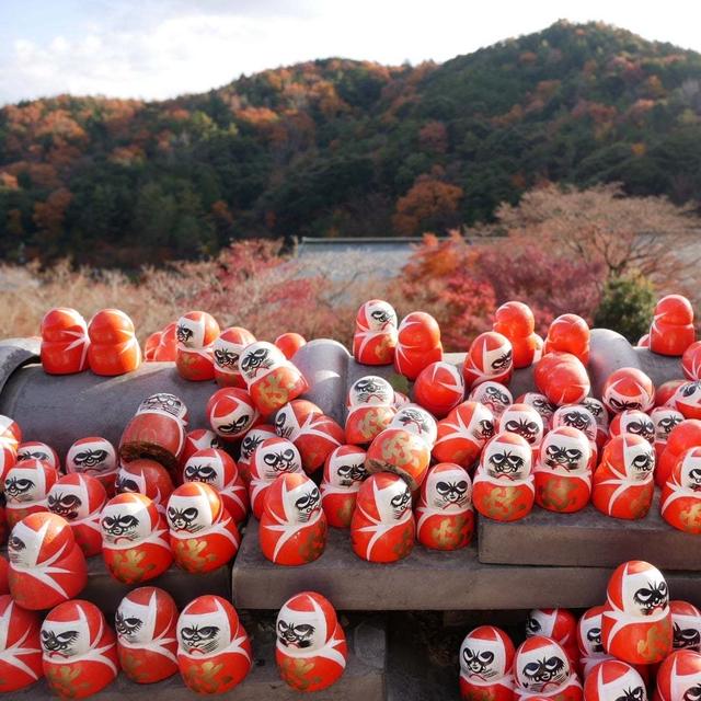 勝尾寺のだるま#最近撮った写真は