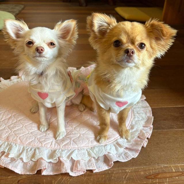 皆んなでお気に入りカフェෆ( ◜ᴗ◝ )ෆ