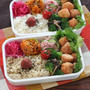 小粒だけど辛い島とうがらしと甘いﾊﾞﾀｰﾅｯﾂ ✿ bento＆晩ご飯♪