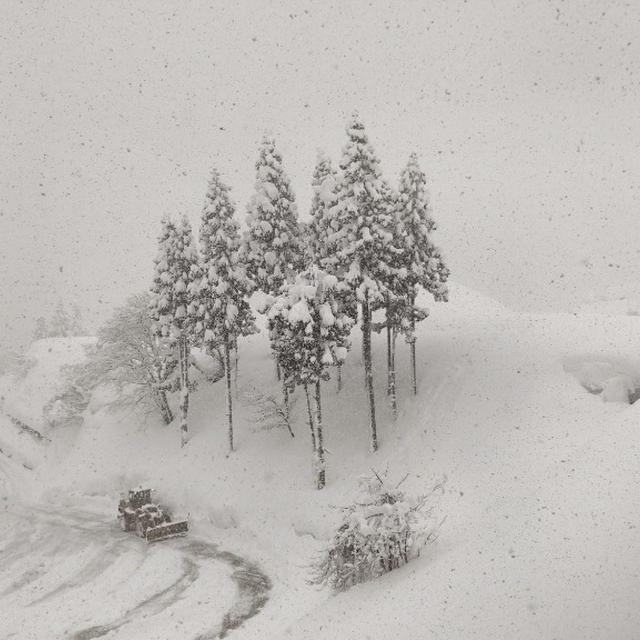 ちょっと前の大雪な休日
