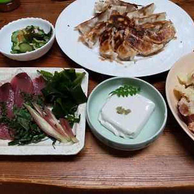 鰹の刺身と胡麻豆腐と餃子