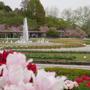 兵庫県フラワーセンターの桜#お花見の風景