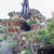 ☆ディズニーランド☆