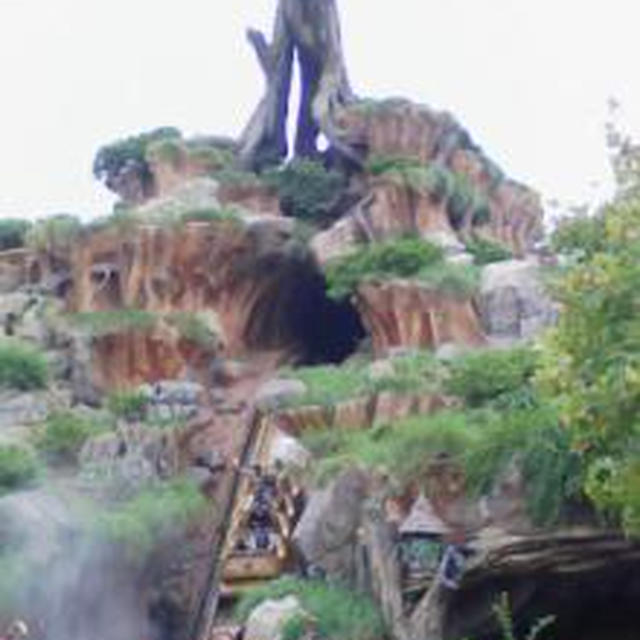 ☆ディズニーランド☆