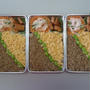 リクエストにお答えして、そぼろ弁当。
