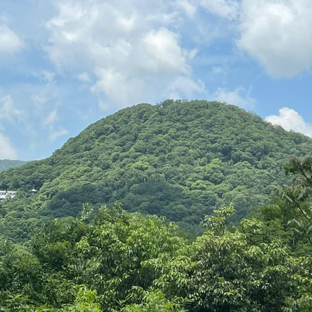 兵庫県立甲山森林公園　関西学院大学から徒歩で行ってきました　展望台　ウォーキングシューズ　ON