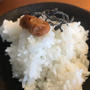 佐渡の齋藤さんから新潟の新しいお米「新之助」が届きましたー！きらめく大粒、コクと甘み