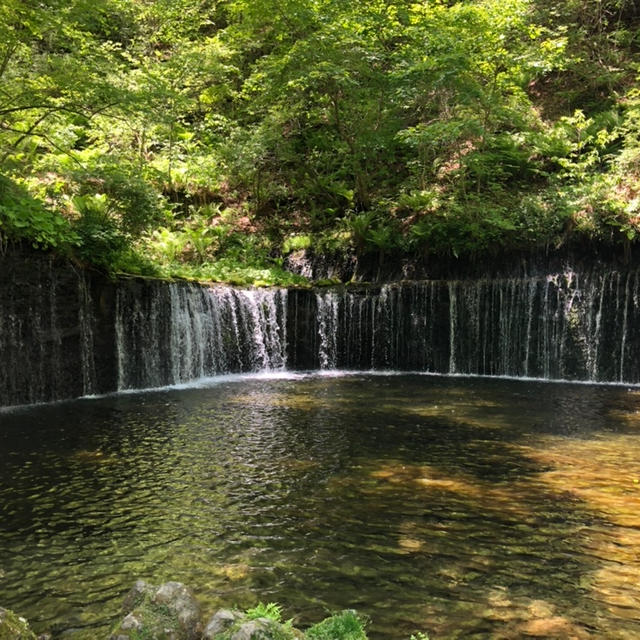 【草津旅行2022】涼を求めて♪群馬県「白糸の滝」