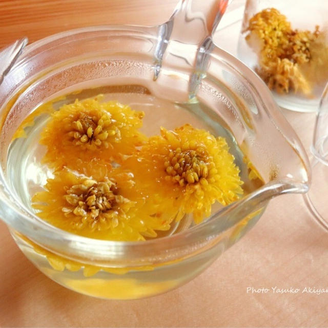 【レシピ】花咲くお茶　菊花茶をつくろう！レシピ公開しました。
