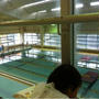スイミングの一日体験