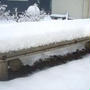 雪や?京のはんなりや?
