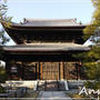 ☆2010 晩秋の京都⑦：桂春院☆
