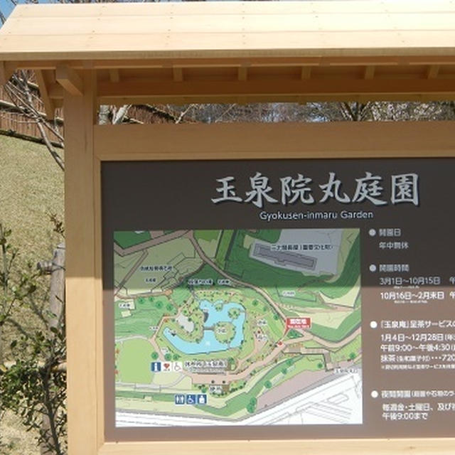 お花見2015・金沢城
