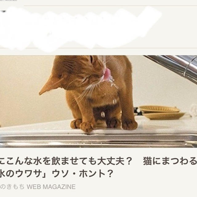 ひめちゃんを、Yahoo！のトップ画面で発見！