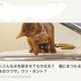 ひめちゃんを、Yahoo！のトップ画面で発見！