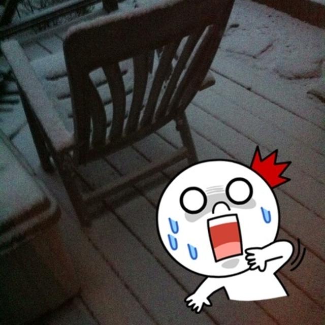 まさかの雪です