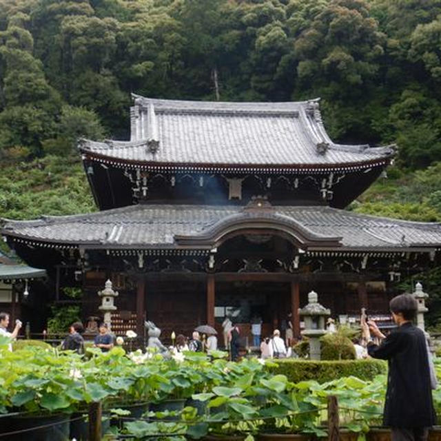 紫陽花と茶そば