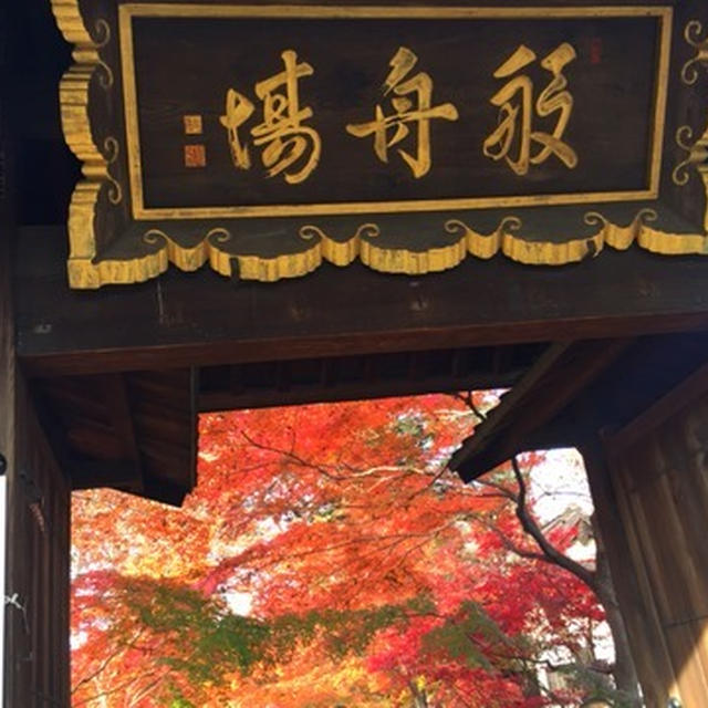 御見事！美しい紅葉🍁九品仏『浄真寺』＆『兵隊屋』のお蕎麦♪ サイクリングホリデー(^^) 手羽白湯の水炊き有りです♪