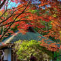 紅葉。と 東京ばな奈。