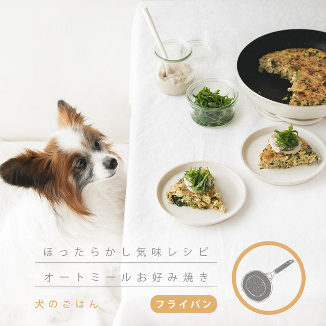 オートミールで作る 犬のお好み焼き 手作り犬ごはん By 犬ごはん先生 いちかわあやこさん レシピブログ 料理ブログのレシピ満載