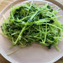 豆苗の炒め物🥬
