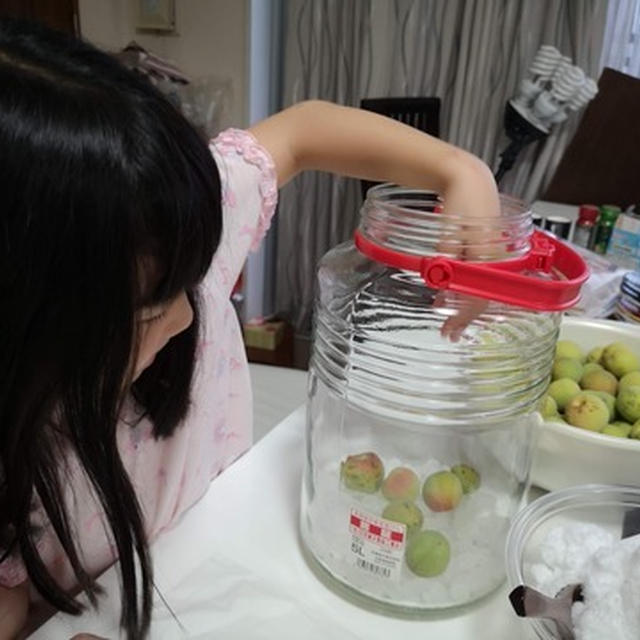 娘 今年の梅仕事