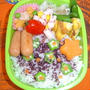 今週のお弁当