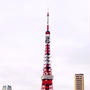 本日の東京タワー。