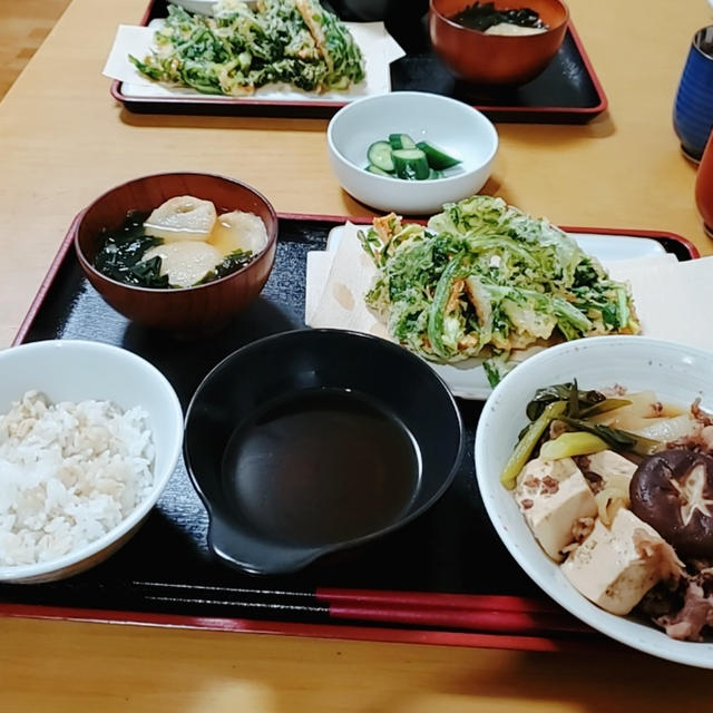 ”予定の献立”がどうしても食べる気にならなかった日の献立‥