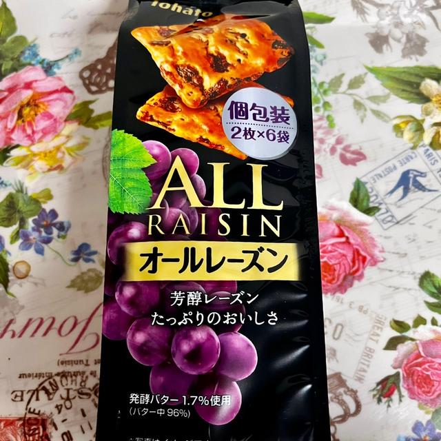 【定番商品】東ハト レーズンぎっしり オールレーズン