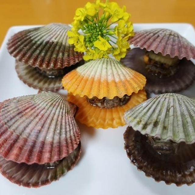 おうち居酒屋フライパンで簡単貝焼き～