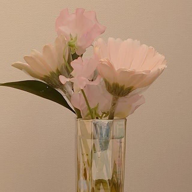 スイトピーは春の花