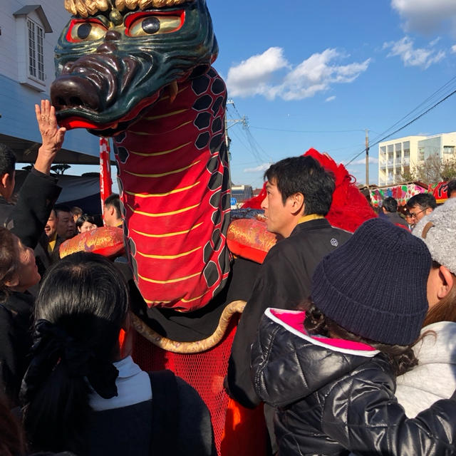 妙見祭 ガメちゃん超近くにいたよ♡