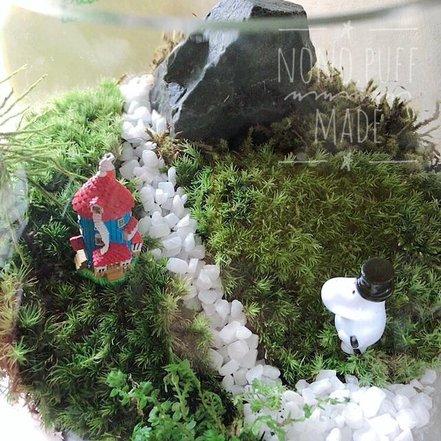 ムーミン谷とまっくろくろすけのおうち 今年の苔テラリウムその2