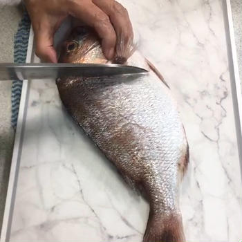 真鯛のさばき方と刺身の切り方　Seabream Sashimi