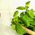ミントのジェノベーゼ風ソース☆Genovese Sauce with mint leaves