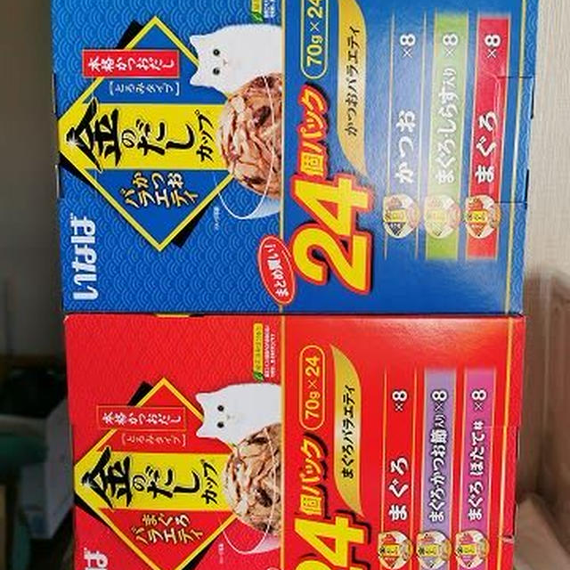 オンライン