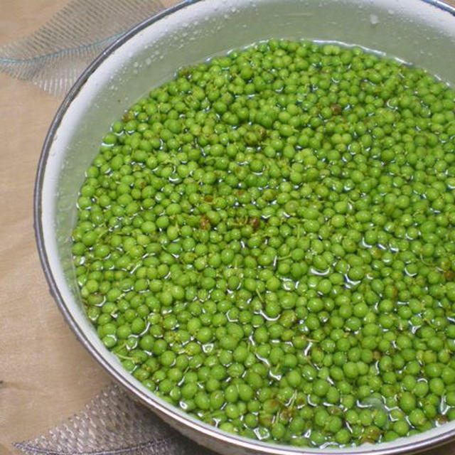 山椒の佃煮