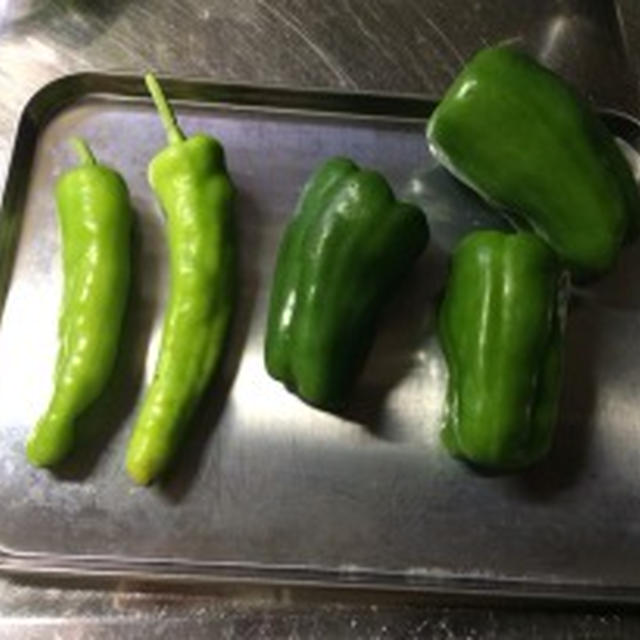 とうがらし