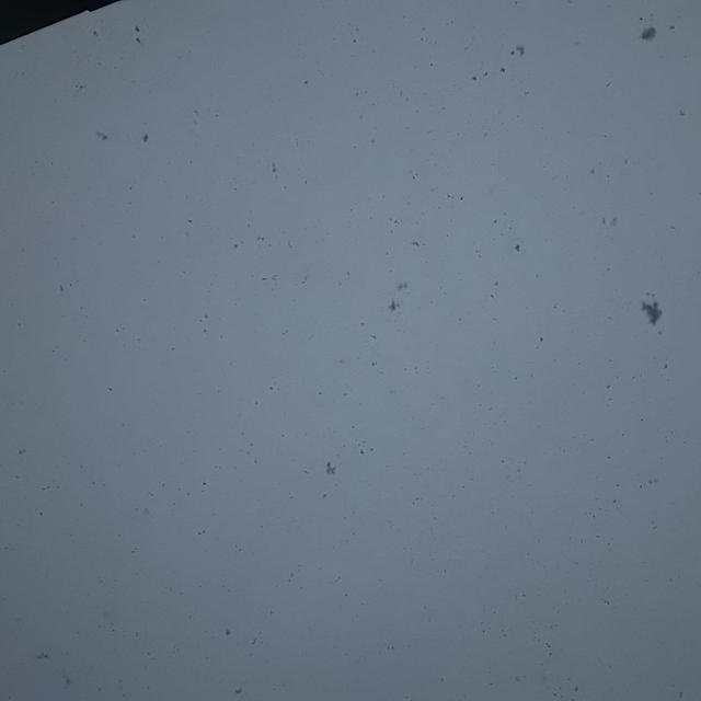 ☆雪！☆