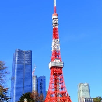 【ブリーズ ヴェール／ザ・プリンス パークタワー東京　クリスマスランチ♪】