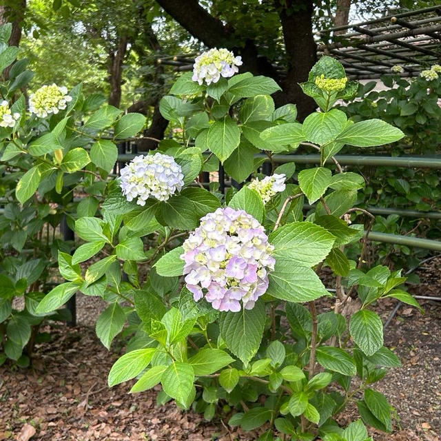 ありのままの自分をOKにできる講座