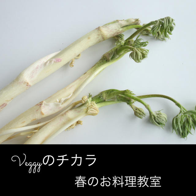 3月は「うど」春のベジ料理レッスン・4月「キャベツ」です