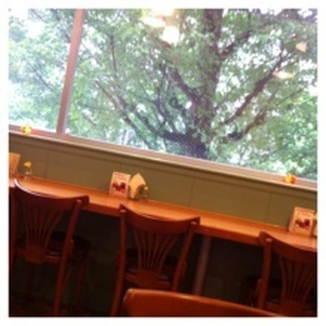 フレッシュネスのサルサバーガー