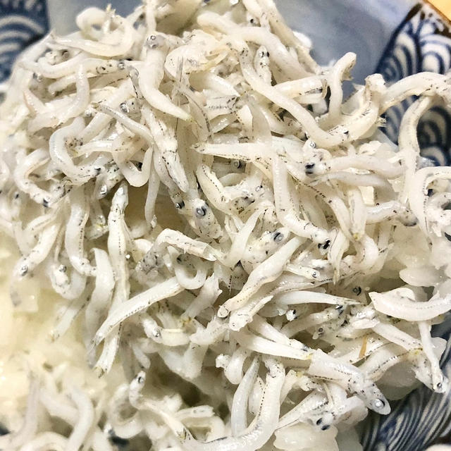 旨さにハマる！買ってよかった！カネク水産　しらす　愛知県三河　大浜産　楽天　愛知県WEB物産展
