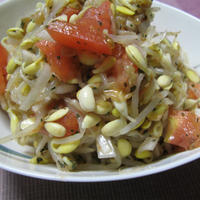 豆もやしの五香粉和え（レシピ）