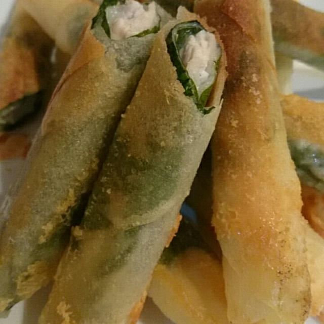鶏しそチーズの春巻き